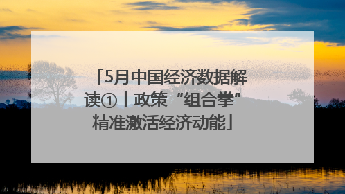 5月中国经济数据解读①丨政策“组合拳”精准激活经济动能